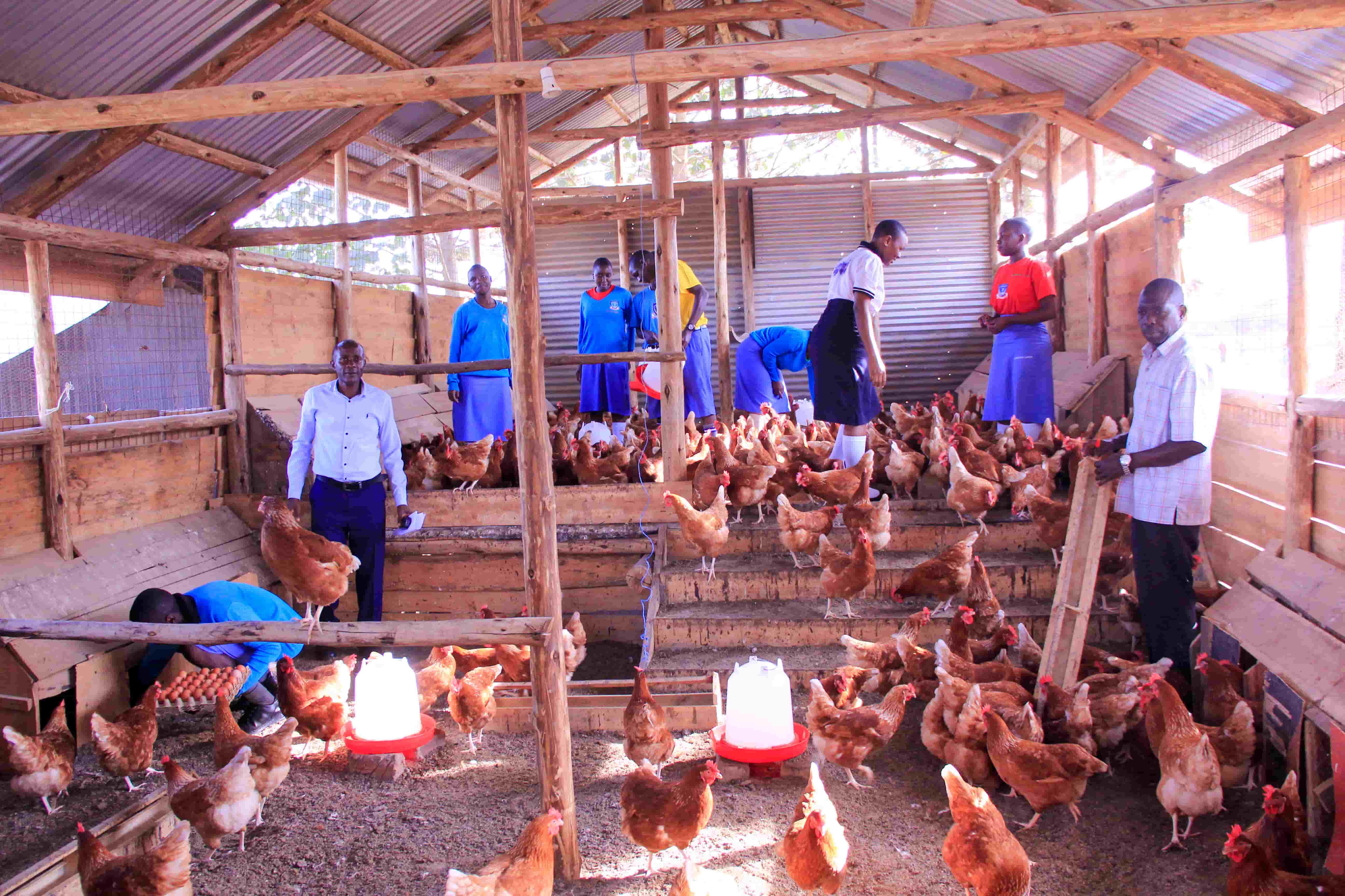 Poultry farming